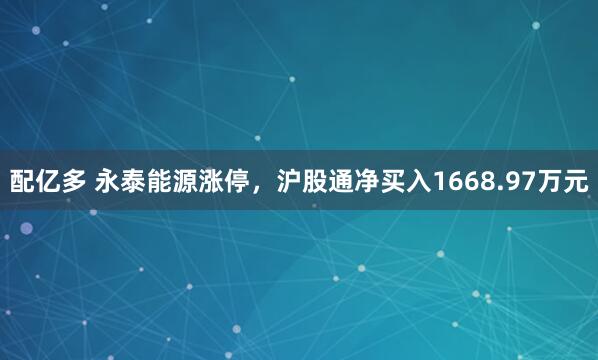 配亿多 永泰能源涨停，沪股通净买入1668.97万元