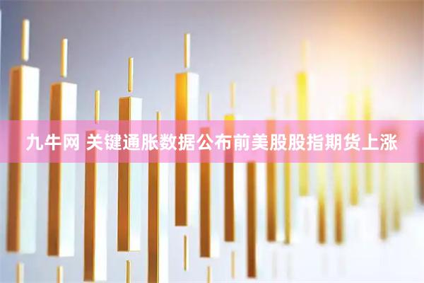 九牛网 关键通胀数据公布前美股股指期货上涨