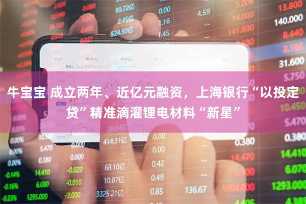 牛宝宝 成立两年、近亿元融资，上海银行“以投定贷”精准滴灌锂电材料“新星”