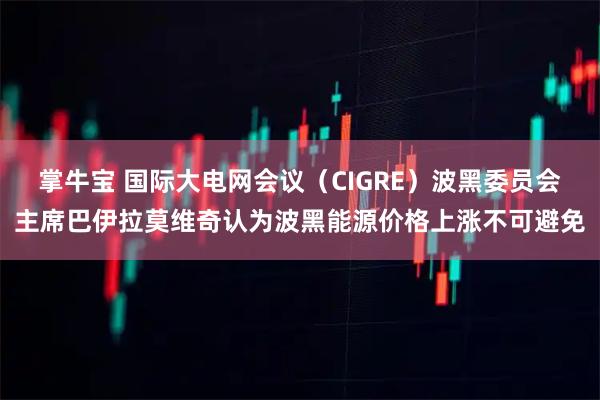 掌牛宝 国际大电网会议（CIGRE）波黑委员会主席巴伊拉莫维奇认为波黑能源价格上涨不可避免