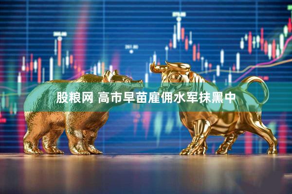 股粮网 高市早苗雇佣水军抹黑中