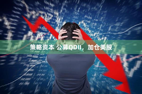 策略资本 公募QDII，加仓美股
