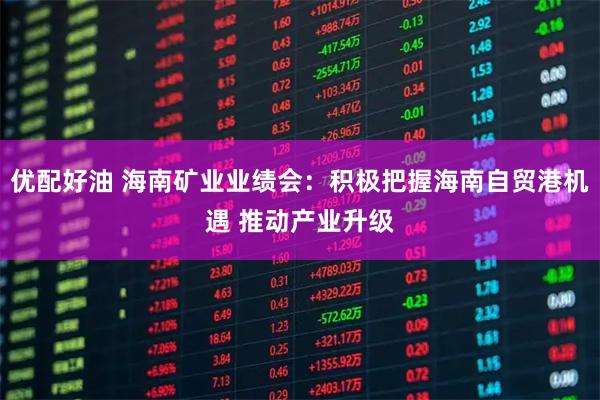优配好油 海南矿业业绩会：积极把握海南自贸港机遇 推动产业升级